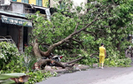 Thiệt hại bảo hiểm sau “siêu giông” tăng dần